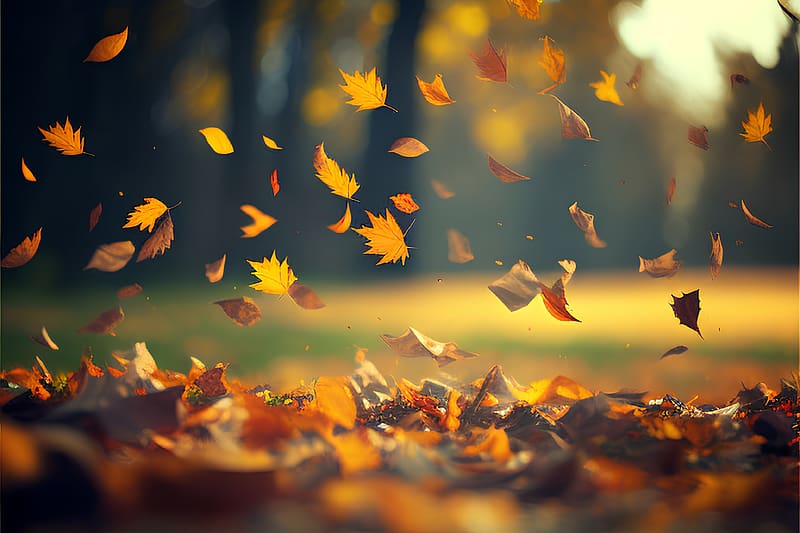 Flying autumn leaves